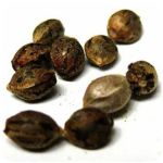 Семена марихуаны АК-47  (Seeds AK-47) в Мелеузе